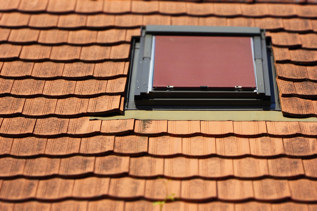 roof, skylight, brick